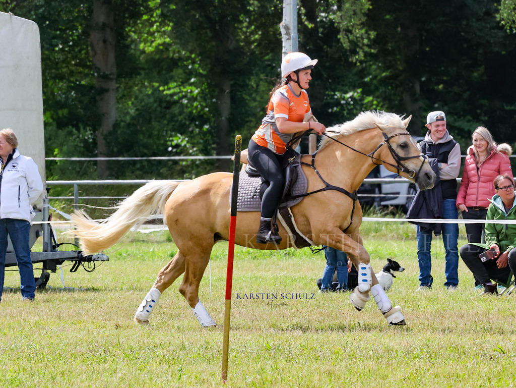 1B3A4657 | Reitsport Reiten