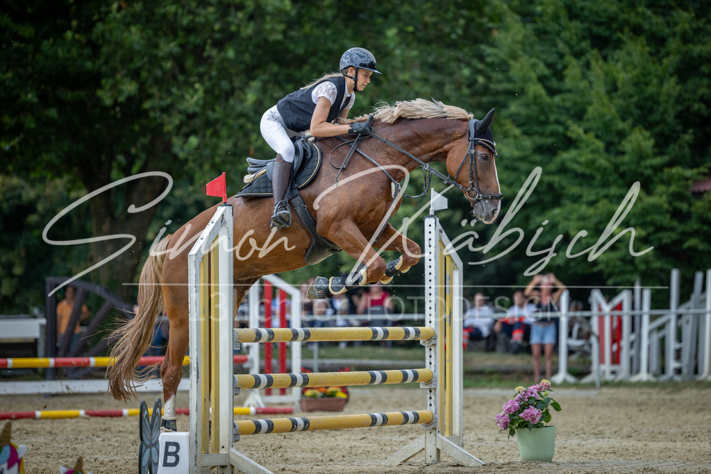 20260704-_3LI1698 | Tierfotografie Pferde, Hunde, Katzen, Haustiere.
Turnierfotografie Reitturniere, Reiten, Springreiten, Dressur in Hanau, dem Main-Kinzig-Kreis und dem Rhein-Main- Gebiet um Frankfurt