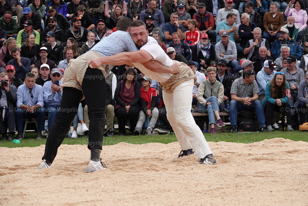 DSC02065 | Schwingen - Realisiert mit Pictrs.com