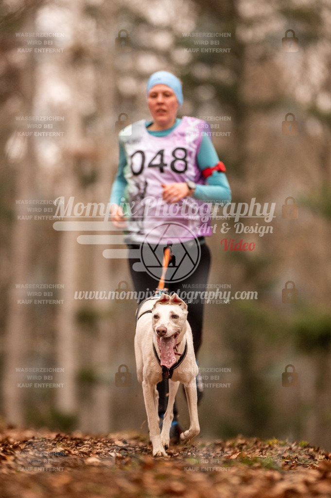 AKM_ST_2023_SAM_Run-118 | PayLife