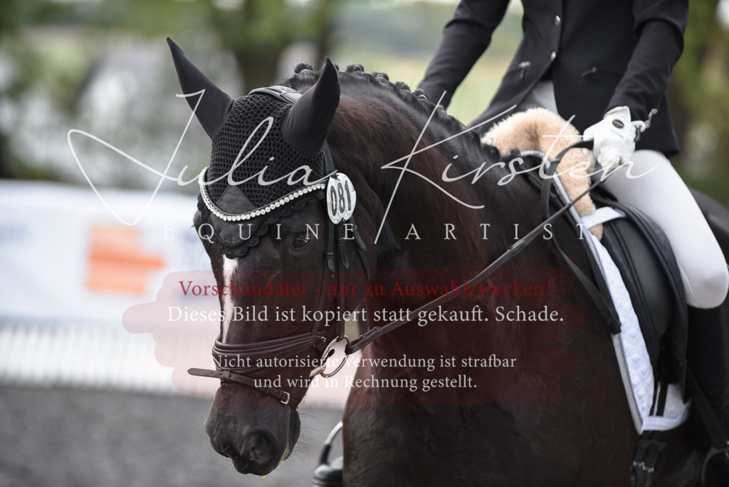 20230513_JK-Röhrsdorf-14-611 | Pferde- und Turnierfotografie in Westsachsen. Pferdeportraits, Auftragszeichnungen und intuitive Kunst.