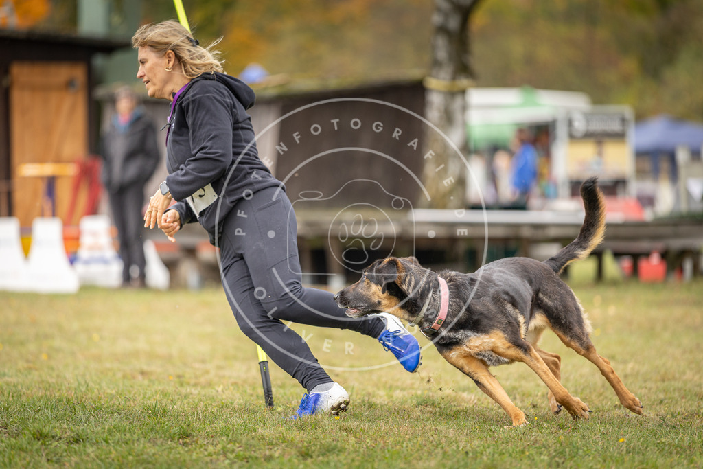 Pfotenfotografie_DV3A5412 | Hundefotografie, Tierfotograf, Pfotenfotografie, Fotoshooting Hund, Hunde Portrait, Hundesport, Hundeportraits, Heideshooting, Hunde, Sportfotograf, Hundefotograf, Turnierhundsport, THS,  - Realisiert mit Pictrs.com