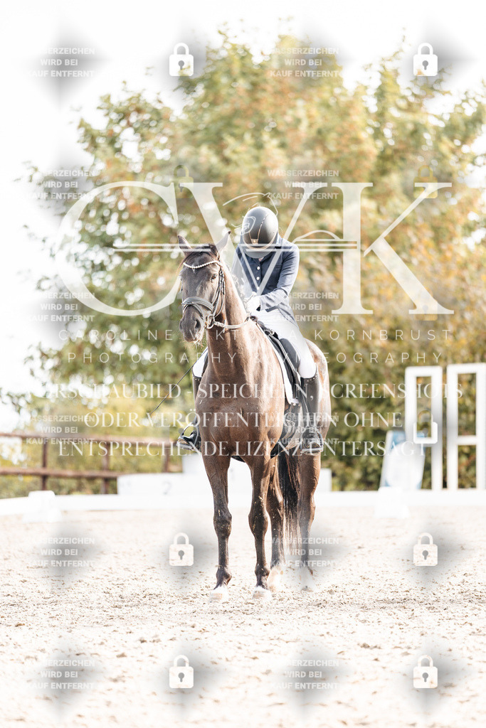 CK901035 | Turnierfotografie Pferdefotografie Trier Rheinland-Pfalz Pferdesport Reitsport Tierfotografie Sportfotografie Pferdevideo Pferdevideografie Equestrianvideography equestrianphotography  - Realisiert mit Pictrs.com