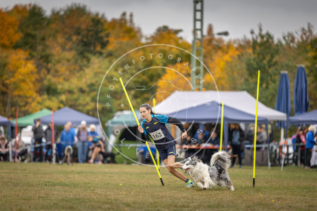 Pfotenfotografie_DV3A5153 | Hundefotografie, Tierfotograf, Pfotenfotografie, Fotoshooting Hund, Hunde Portrait, Hundesport, Hundeportraits, Heideshooting, Hunde, Sportfotograf, Hundefotograf, Turnierhundsport, THS,  - Realisiert mit Pictrs.com