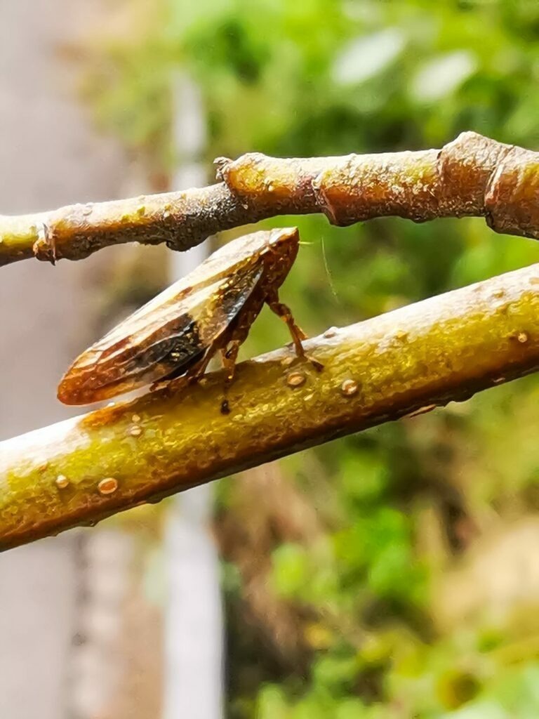 PSX_20220908_230217 | mtkfoto_ - Realisiert mit Pictrs.com