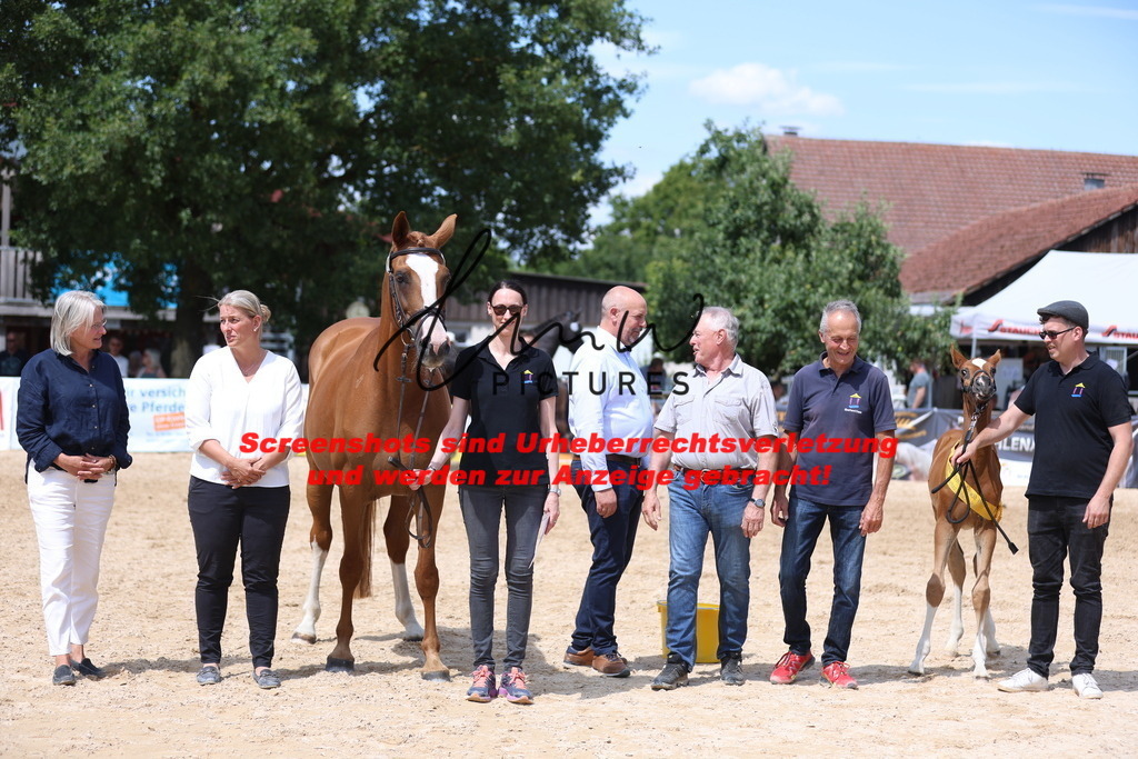 Fohlenschau_Schwäbisch_Hall_springbetonte_Fohlen_SIEGERFOHLEN_KN 22_6 | lmwpictures - Realisiert mit Pictrs.com