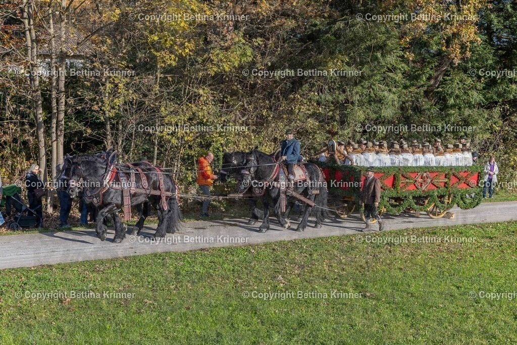 LBT24-388 | Professionelle Fotografin mit Fachgeschäft in Lenggries & im Landkreis Bad Tölz Wolfratshausen. Hochzeitsreportage, Familienfotos, Newborn-, Babybauch-, Pass- & Businessfotos.Alles Rund ums Foto