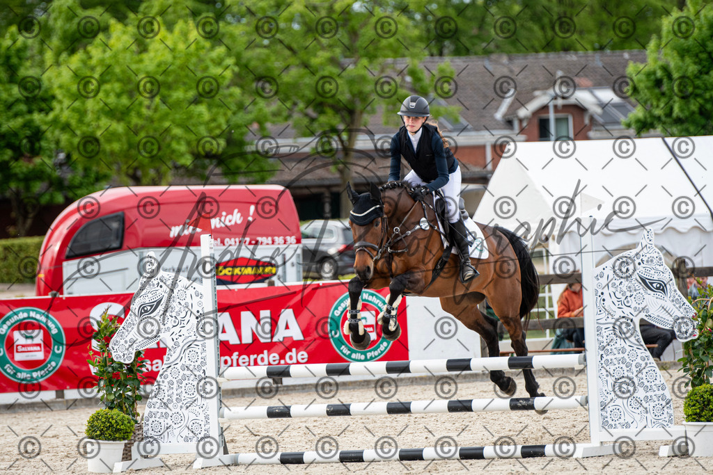 KPT_7148 | andre_photographic