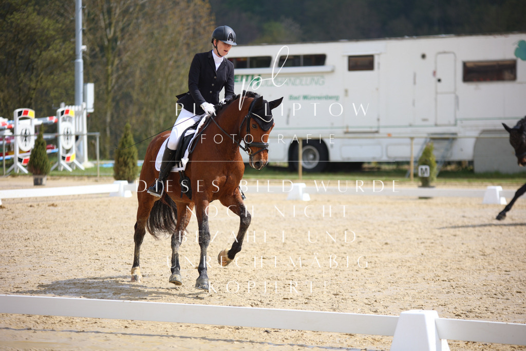 IMGT3671 | pl-fotografie