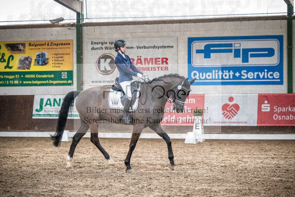 DOS_0283 | Entdecke hochwertige Reitturnierfotos von Foto Oger. Professionell, emotional und authentisch – jetzt Lieblingsmomente im Shop bestellen.Deutschlandweite Turnierfotografie. - Realisiert mit Pictrs.com