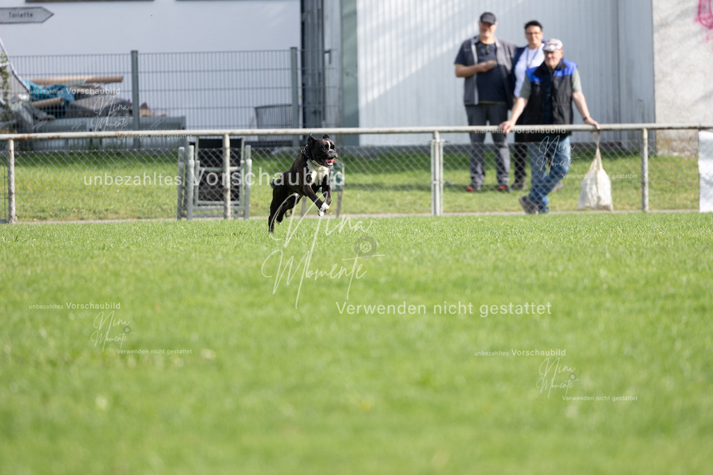 _16A5423 | Einzigartige Fotos von Hunden & Menschen –Actionfotos, Portraits, Vereinsaufnahmen & Paarshootings – authentisch, lebendig & mit Herz.