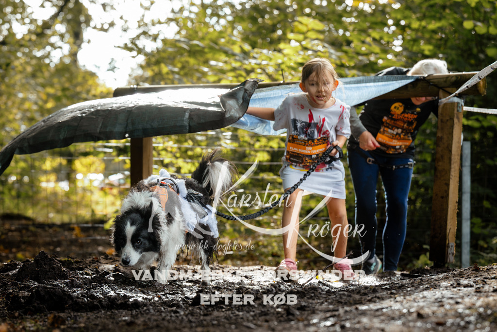 1459DZ6_4261Z6 | kk-dogfotos