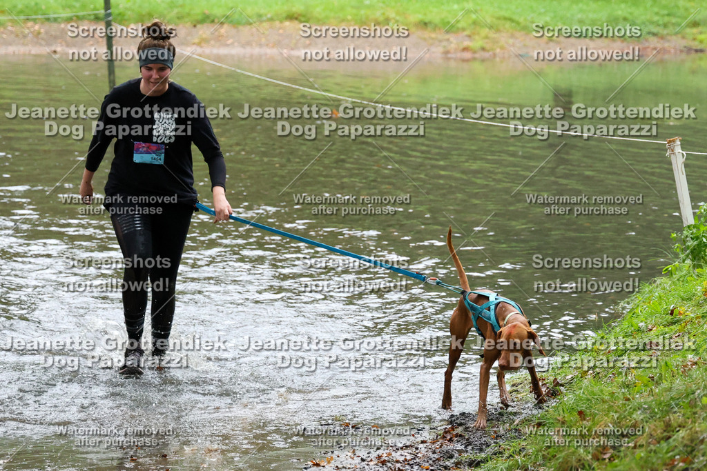 Dog Paparazzi -  SD1026-8418 | Dog Paparazzi Jeanette Grottendiek Fotografie & Videografie - Realisiert mit Pictrs.com
