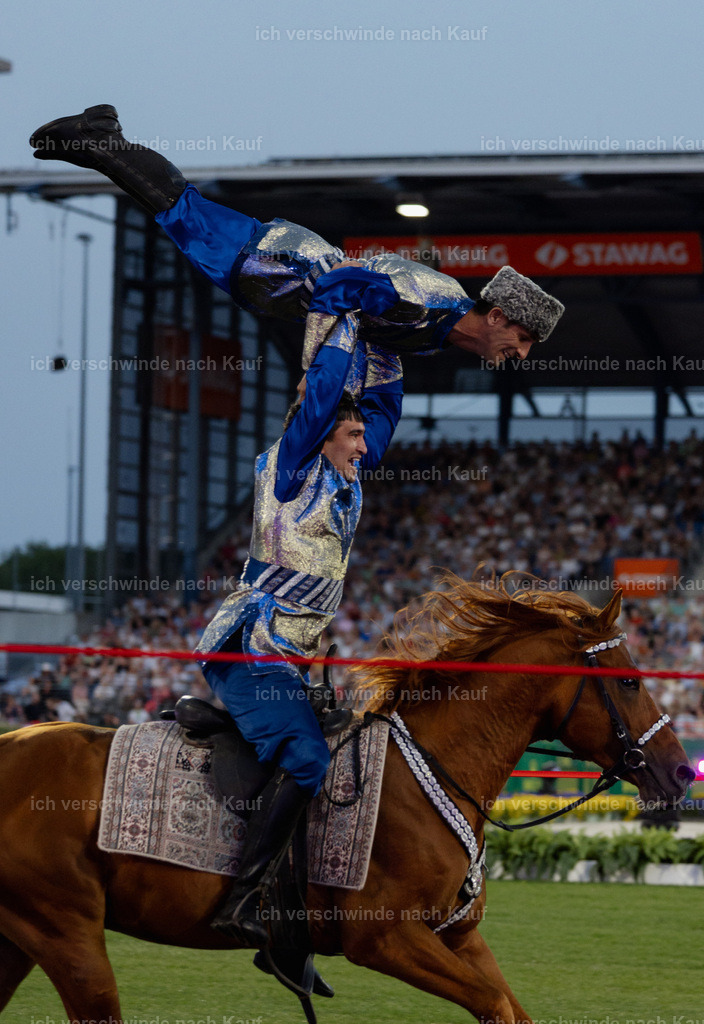 TSCHIO26_Pferd-Sinfonie_StoibphotographyTSCHIO26_Pferd-Sinfonie_Stoibphotography_AM11292.CR3.jpg | working equitationturnier fotograf videograf stoibphotography marixx film working equitation deutschland reitsport turnierfotografie eventfotografie equestrian events