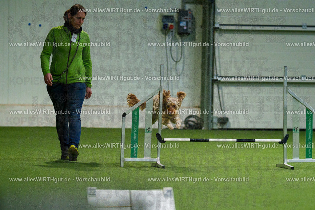 7R504538 | Professionelle Tierfotografie in Mönchengladbach von Daniel Wirth (allesWIRTHgut). Liebevolle & natürliche Bilder von Hunden & Katzen für unvergessliche Erinnerungen.