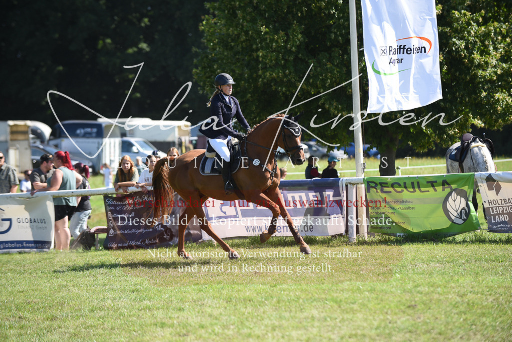 DSC_9227 | Pferde- und Turnierfotografie in Westsachsen. Pferdeportraits, Auftragszeichnungen und intuitive Kunst.