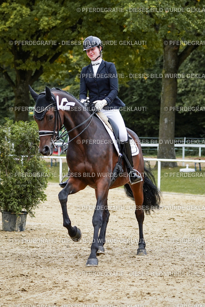 DSC02670 | Pferdegrafie