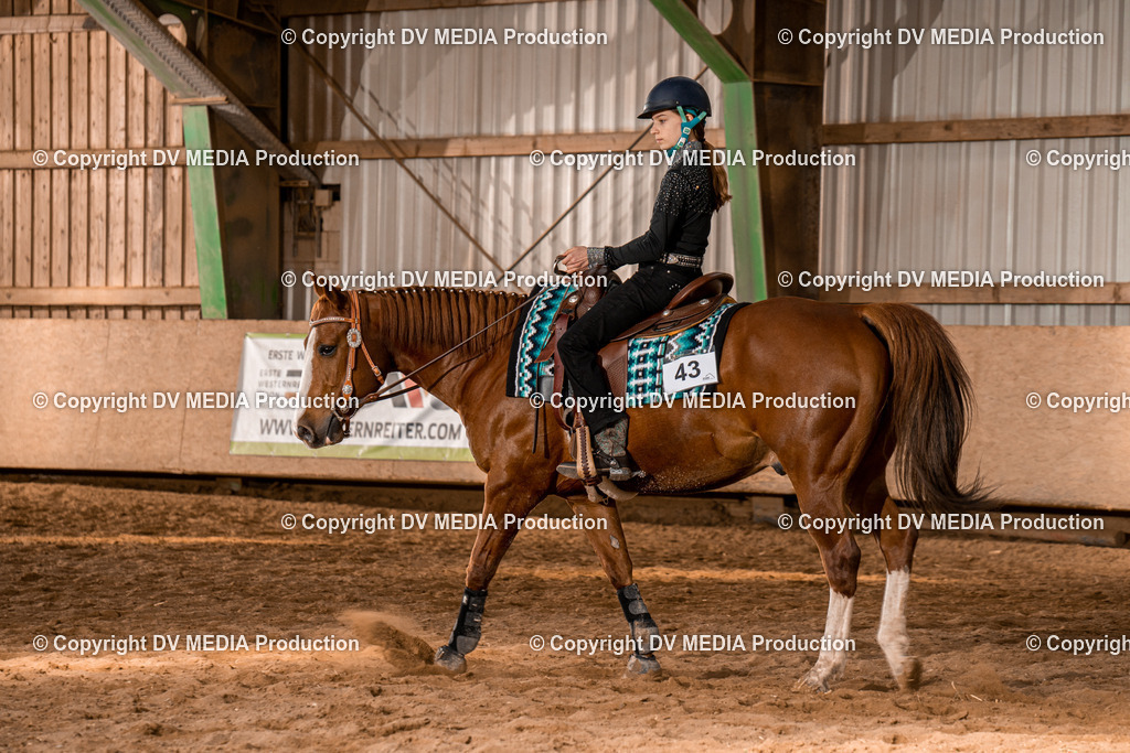 BAL02183 | dv-media-shop - Realisiert mit Pictrs.com