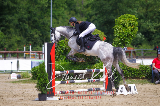 DKP41679 | Turniersportfotografie; Pferdefotografie; Dressurfotografie