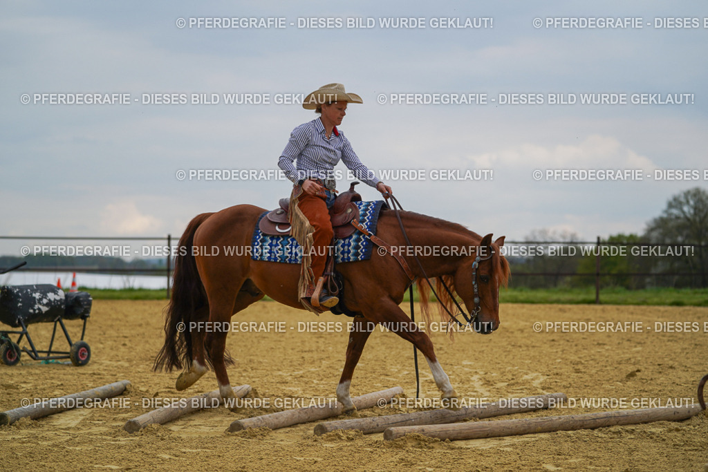 DSC07828 | Pferdegrafie