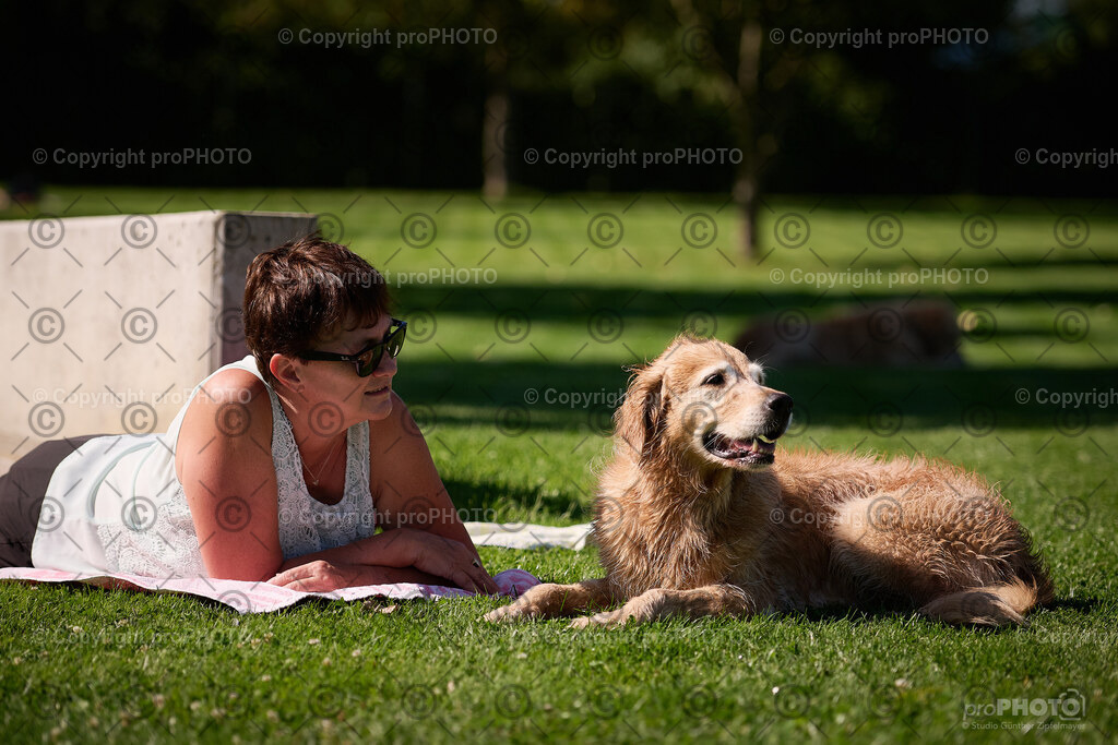 082_202509_4Hundebadetag_NZ9_2350 | proPHOTO - Realisiert mit Pictrs.com