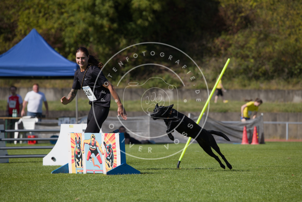 0L8A7942 | Hundefotografie, Tierfotograf, Pfotenfotografie, Fotoshooting Hund, Hunde Portrait, Hundesport, Hundeportraits, Heideshooting, Hunde, Sportfotograf, Hundefotograf, Turnierhundsport, THS,  - Realisiert mit Pictrs.com