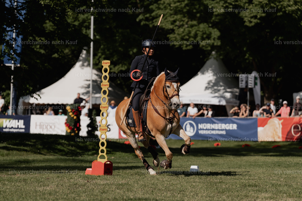 7C_04988 | Pferd International München 2025