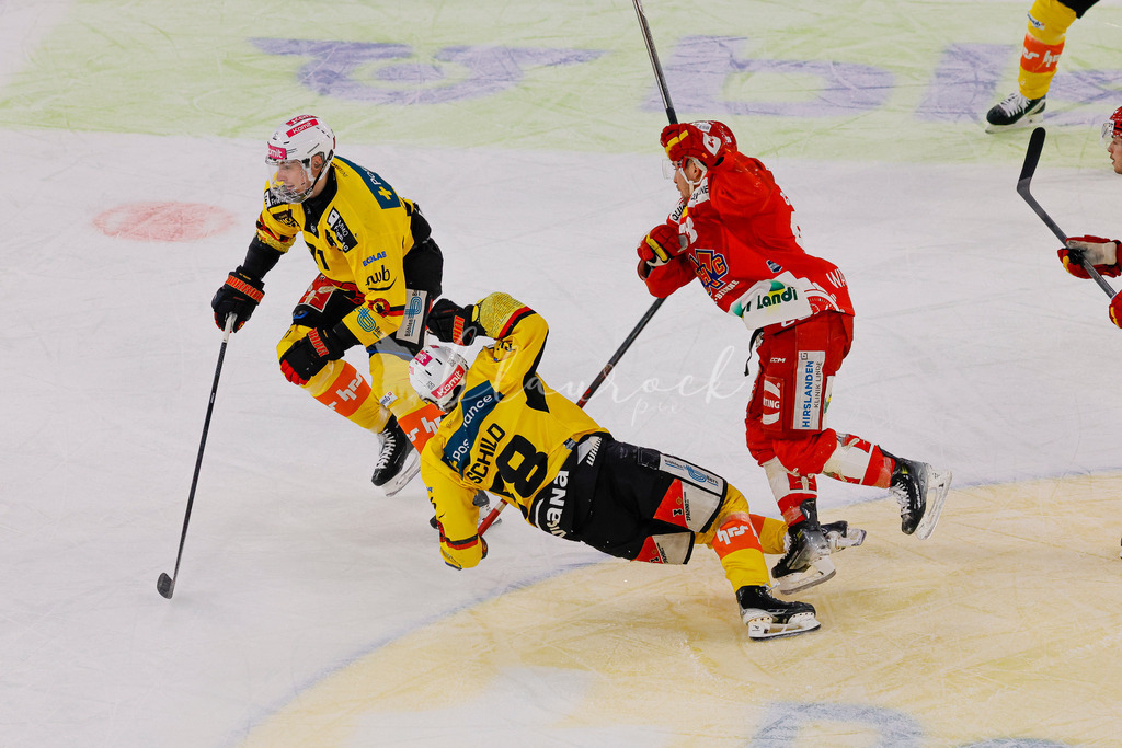 EHCB vs SCB 20260110_wb-3064 | Sportbilder, Sportfotograf, Hochzeits- und Eventfotografin, Flugshows, Portraits und Tiershooting, Aviation, Downhill, Nationalleague, Swissleague, International