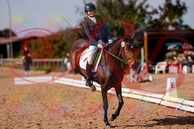 2026_10_03_Siefer-Hof_125753_Z81_47116852 | Professionelle Reitsport-, Turnier- und Eventfotografie von Robert Broda. Galerien mit ausgewählten und bearbeiteten Bildern direkt online ansehen und bestellen.