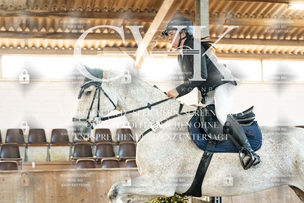 CK903917 | Turnierfotografie Pferdefotografie Trier Rheinland-Pfalz Pferdesport Reitsport Tierfotografie Sportfotografie Pferdevideo Pferdevideografie Equestrianvideography equestrianphotography  - Realisiert mit Pictrs.com
