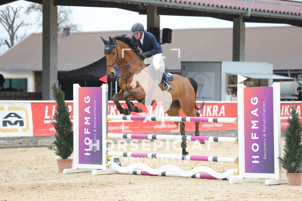 0P6A4534 | Willkommen bei Brunnmayr - Design & Fotografie – Ihrem Spezialisten für Reitturniere und Pferdeveranstaltungen in Oberösterreich, Salzburg und Bayern! Seit über 17 Jahren sind wir leidenschaftlich dabei.