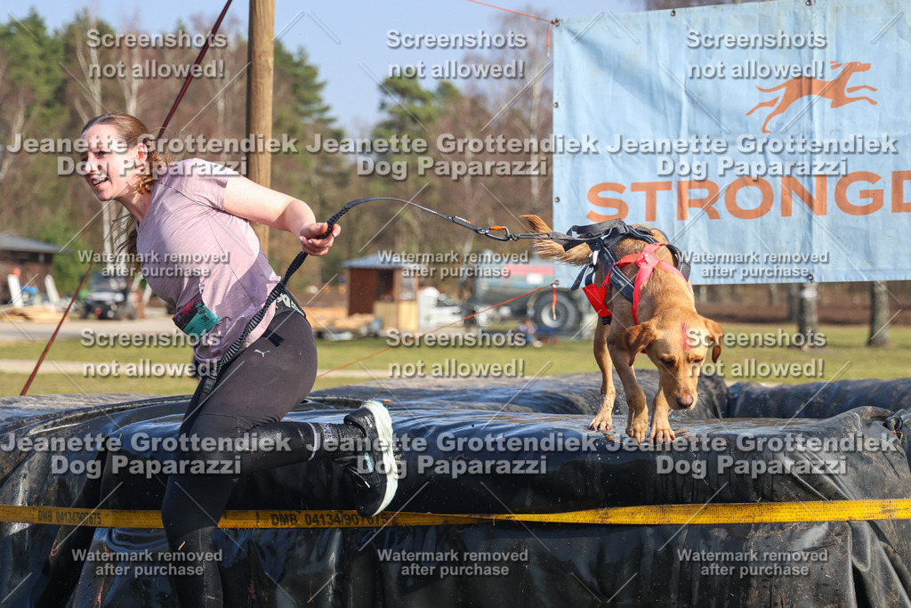 Dog Paparazzi - Strongdog North Mrz26-2721 | Dog Paparazzi Jeanette Grottendiek Fotografie & Videografie - Realisiert mit Pictrs.com