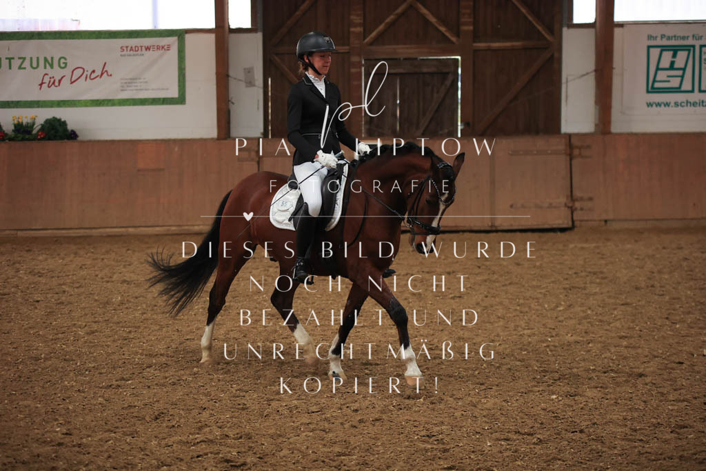 IMGT7121 | pl-fotografie