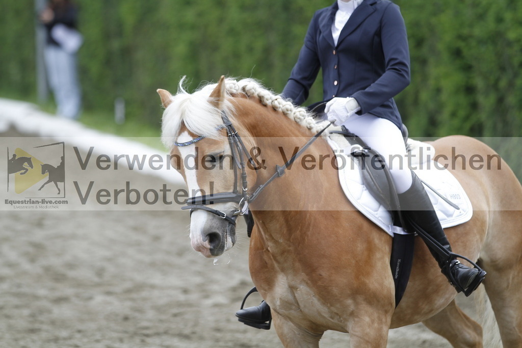 _MG_0886 | equestrian-live-com