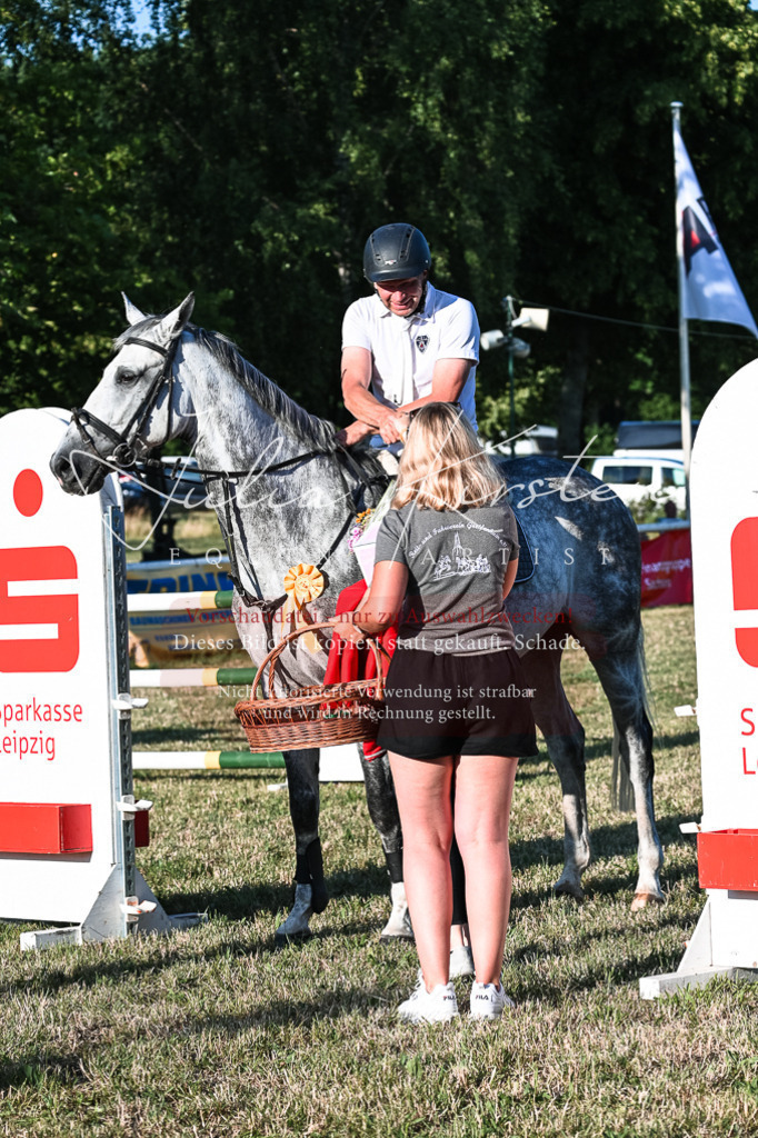 DSC_3167 | Pferde- und Turnierfotografie in Westsachsen. Pferdeportraits, Auftragszeichnungen und intuitive Kunst.