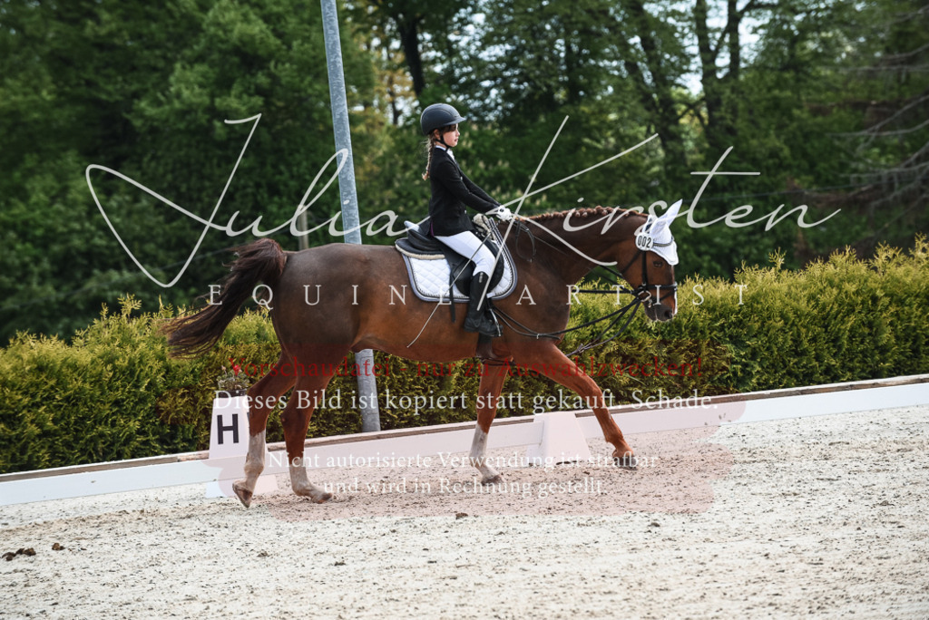 20230518_JK-Röhrsdorf-11-0848 | Pferde- und Turnierfotografie in Westsachsen. Pferdeportraits, Auftragszeichnungen und intuitive Kunst.