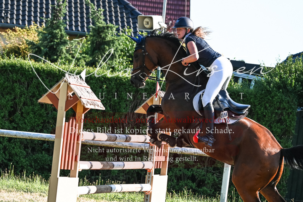 DSC_2923 | Pferde- und Turnierfotografie in Westsachsen. Pferdeportraits, Auftragszeichnungen und intuitive Kunst.