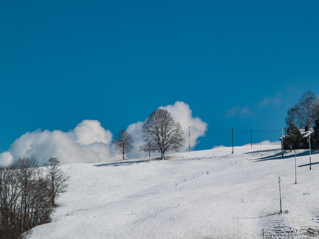 PSX_20230316_210525 | OLYMPUS DIGITAL CAMERA - Realisiert mit Pictrs.com