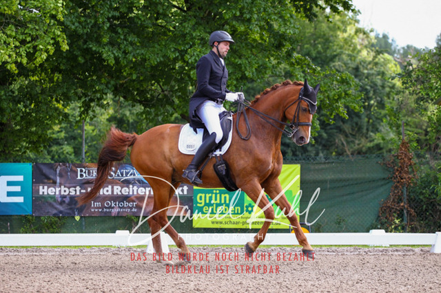 DKP41294 | Deine Turnierfotos vom Reitturnier online kaufen: Dressur, Springen & Siegerehrung. Professionelle Pferdefotografie aus dem Rheinland – als Download & Print.Alternative: Turnierfotograf für den Pferdesport: Finde deine Fotos von Dressur- und Springturnier