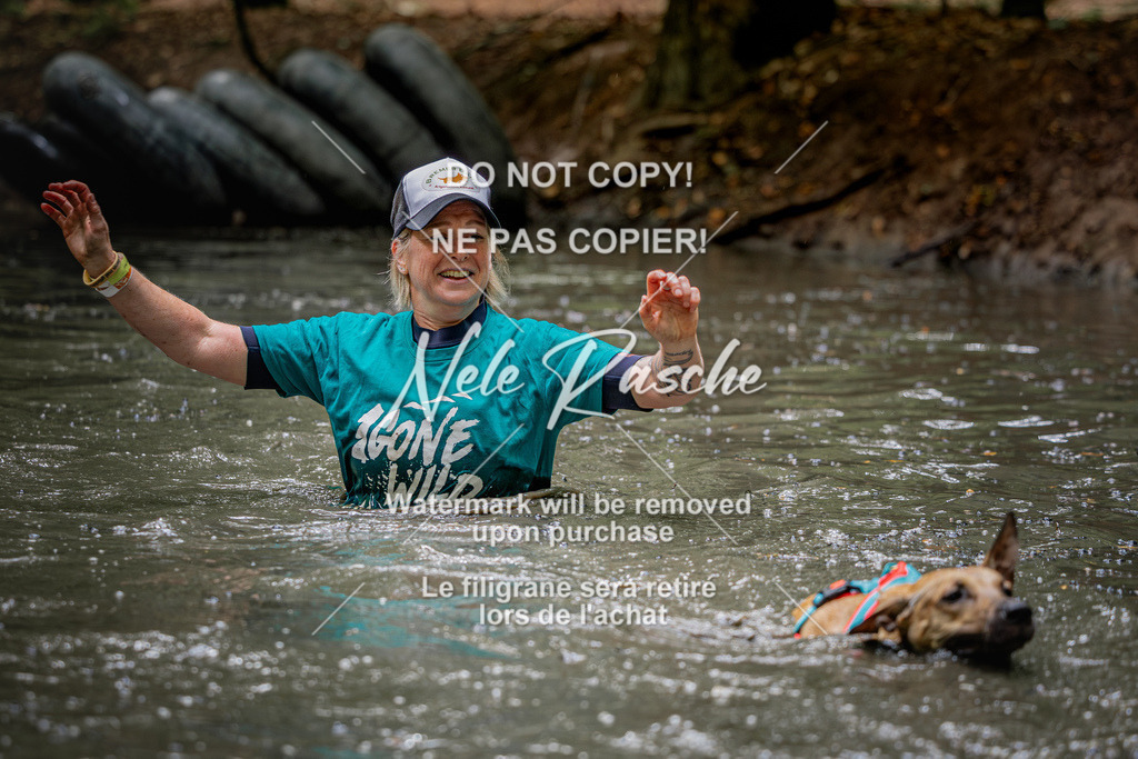 nelerasche_SaWingst1230-1300_25 | nelerasche