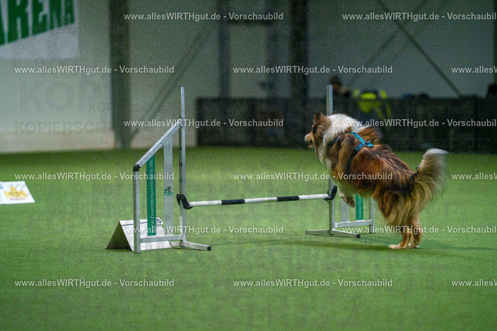 7R500462 | Professionelle Tierfotografie in Mönchengladbach von Daniel Wirth (allesWIRTHgut). Liebevolle & natürliche Bilder von Hunden & Katzen für unvergessliche Erinnerungen.