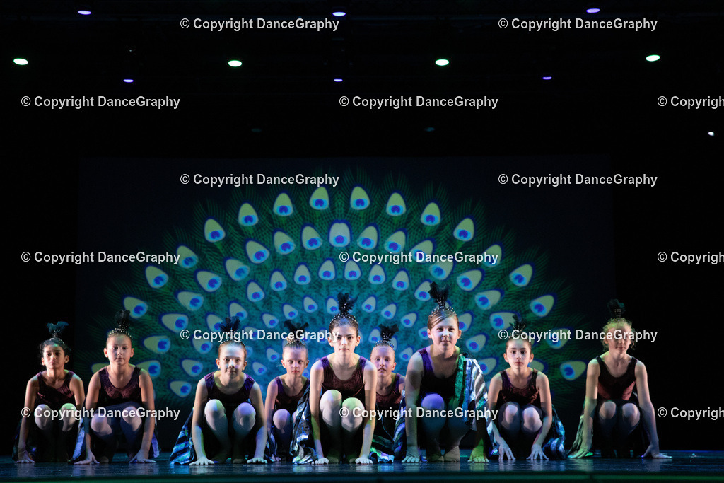 GPHY6148 | DanceGraphy - Realisiert mit Pictrs.com