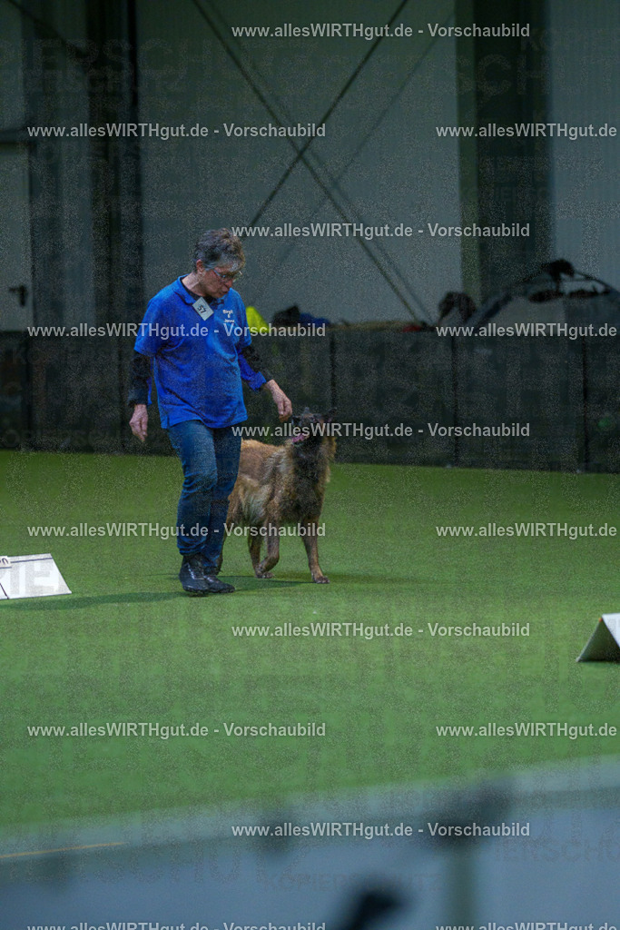 7R502610 | Professionelle Tierfotografie in Mönchengladbach von Daniel Wirth (allesWIRTHgut). Liebevolle & natürliche Bilder von Hunden & Katzen für unvergessliche Erinnerungen.