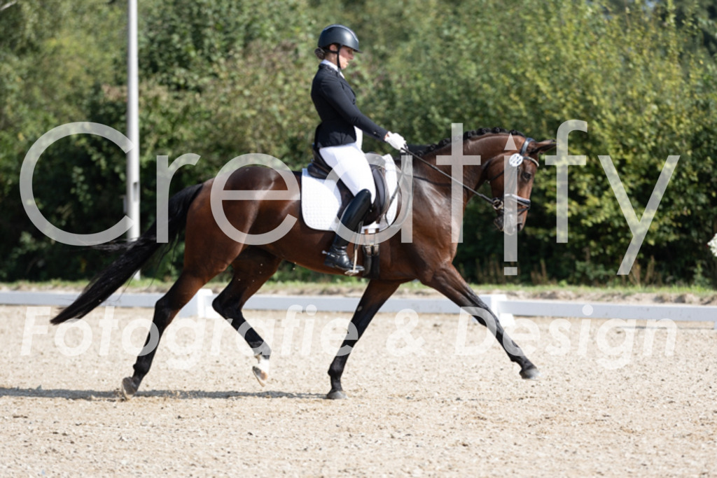 IMG_3036 | Creatify Fotografie