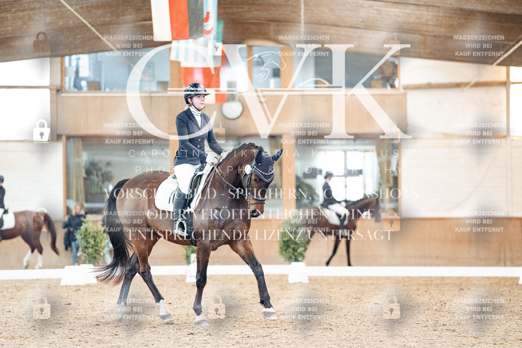 CK908415 | Turnierfotografie Pferdefotografie Trier Rheinland-Pfalz Pferdesport Reitsport Tierfotografie Sportfotografie Pferdevideo Pferdevideografie Equestrianvideography equestrianphotography  - Realized with Pictrs.com