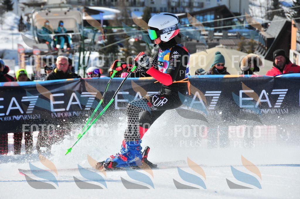 DSC_4410 | holidayphoto