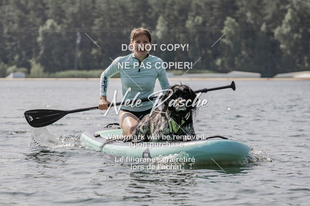 BUHU_SUP_390 | nelerasche