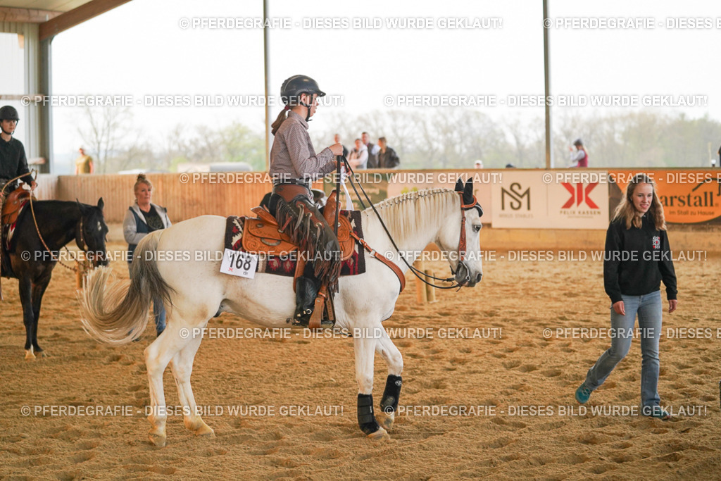 DSC08991 | Pferdegrafie