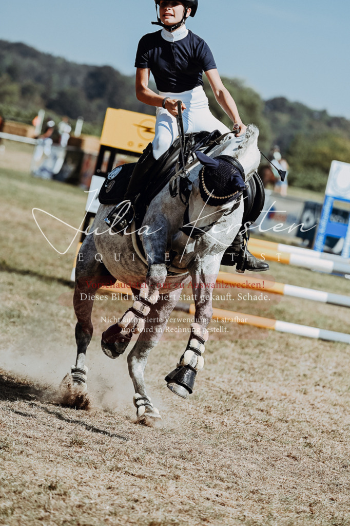 DSC_0032 | Pferde- und Turnierfotografie in Westsachsen. Pferdeportraits, Auftragszeichnungen und intuitive Kunst.