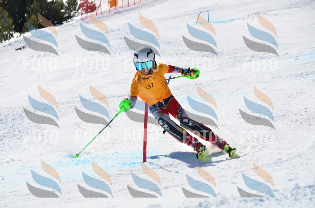 C9700 | holidayphoto